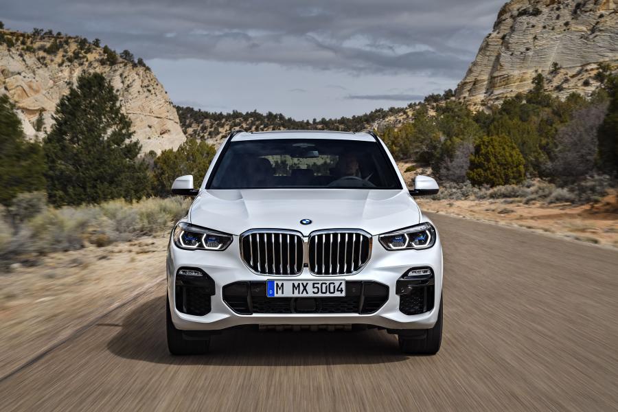  BMW X5 xDrive30d M Sport (G05) 2018 года  (WW) (фото 17 из 75)